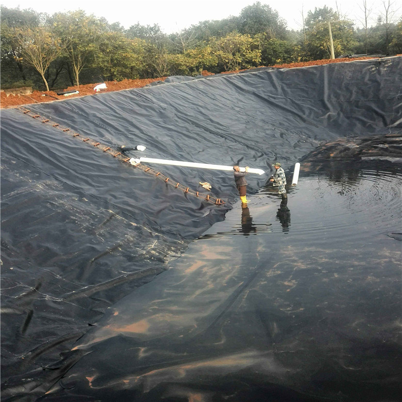 HDPE Geomembrane
